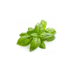 16 fl. oz. Basil Oil