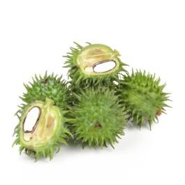 Castor Oil - Cold Pressed Organic