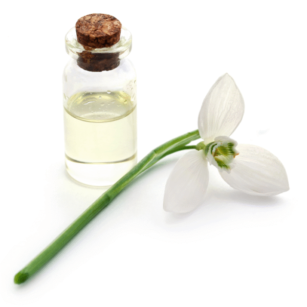 Copaiba Balsam Oil