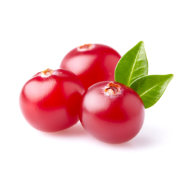 Cranberry Seed Oil - Virgin