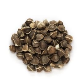 Moringa Oil