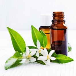 Neroli Oil
