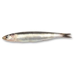 Omega-3 Fish Oil - 18% EPA & 12% DHA