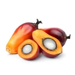 Palm Fruit Oil - RBD RSPO MB