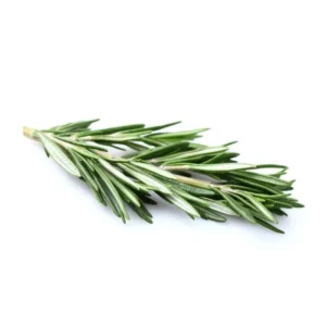 Rosemary Extract - 5% (Acetone Extracted)