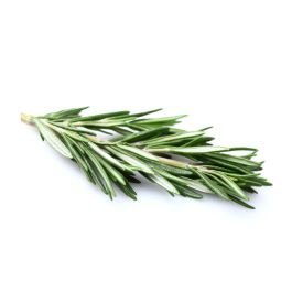 Rosemary Extract - 5% - Organic
