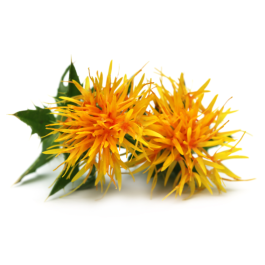 Safflower Oil - High Oleic