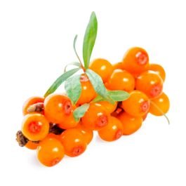 Sea Buckthorn Fruit Oil - Virgin Organic