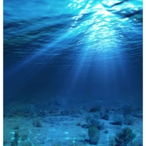 Shark Liver Oil - 20% Alkoxyglycerol