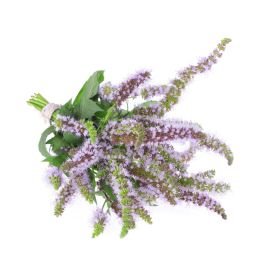 Spearmint Oil - Organic