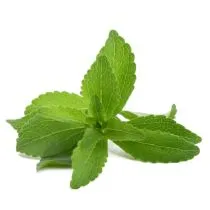 Stevia Extract Powder 97% - Organic