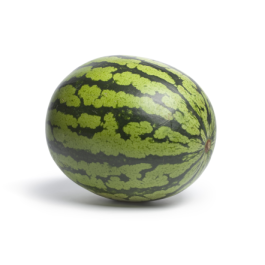 Watermelon Seed Oil - Virgin